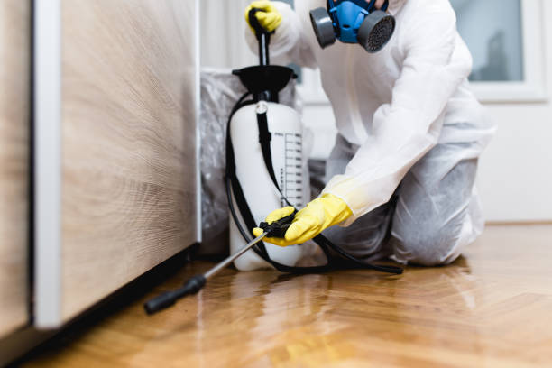 Best Emergency Pest Control  in Hartwell, GA