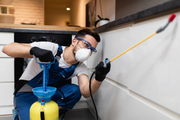 Best Local Pest Control Services  in Hartwell, GA