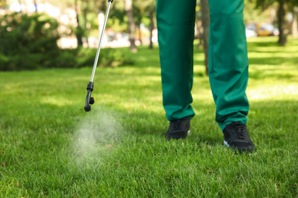 Best Flea Control Services  in Hartwell, GA