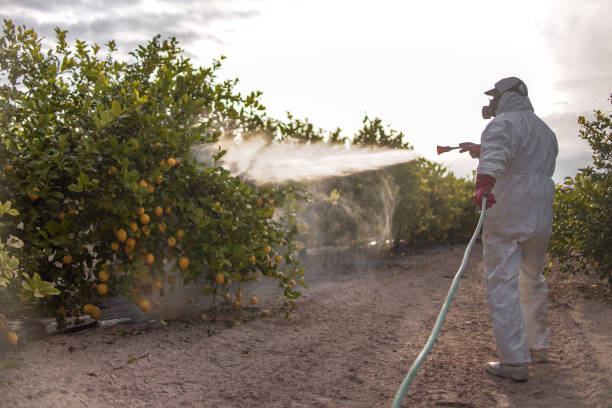 Best Mosquito Control Services  in Hartwell, GA