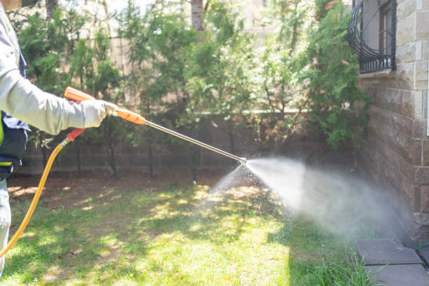 Reliable Hartwell, GA Pest Control Solutions