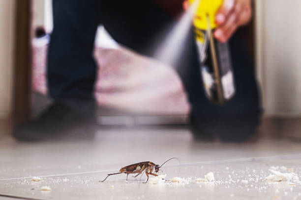 Best Affordable Exterminators  in Hartwell, GA