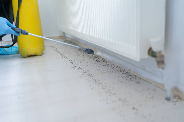 Best Pest Control for Businesses  in Hartwell, GA