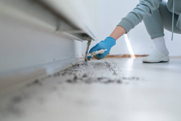Best Best Pest Control Companies  in Hartwell, GA