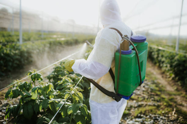 Best Pest Control for Businesses  in Hartwell, GA